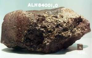 Il meteorite ALH84001 - Immagine NASA in pubblico dominio
