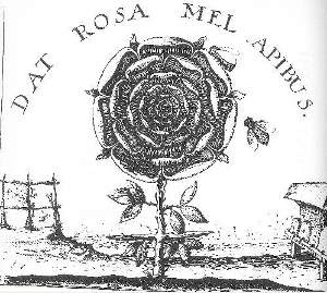 La rosa e la croce nel frontespizio del Summum Bonum di Robert Fludd (pubblicato con lo pseudonimo di Joachim Frizius nel 1629) - Immagine rilasciata sotto licenza Creative Commons
