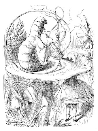 L'ambiguo bruco e Alice - Immagine in pubblico dominio, fonte Wikimedia Commons, utente Liftarn