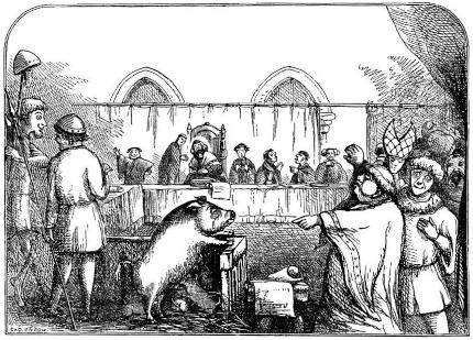 Illustrazione intitolata "Processo a una scrofa e ai maialini a Lavegny", tratta da The Book of Days, 1863, a cura di Robert Chambers - Immagine in pubblico dominio, fonte The Public Domain review