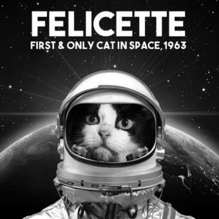 L'astrogatto Félicette - Immagine utilizzata per uso di critica o di discussione ex articolo 70 comma 1 della legge 22 aprile 1941 n. 633, fonte Internet