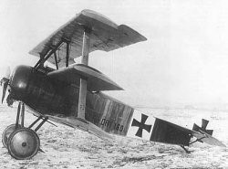 Il triplano Fokker DR.I in dotazione anche all'asso tedesco von Richthofen, il Barone Rosso - immagine in pubblico dominio, fonte Wikipedia