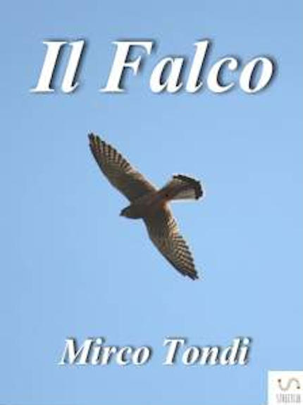 Il falco, romanzo dello scrittore Mirco Tondi