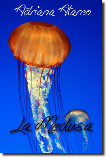 La Medusa, racconto di fantascienza della scrittrice peruviana Adriana Alarco - immagine di copertina rilasciata sotto Creative Commons Attribution-Share Alike 2.0 Generic - fonte Wikimedia Commons - utente Paroxysm
