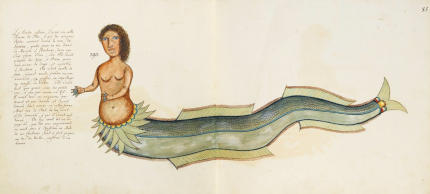 La sirenne di Samuel Fallours - Immagine in pubblico dominio, fonte Wikimedia Commons, utente Goodbichon