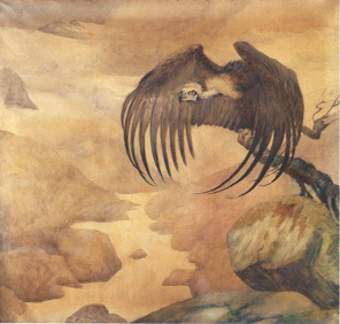 L'Avvoltoio attende con pazienza sulla "spalla di Dio" - Immagine in pubblico dominio, fonte Wikimedia Commons