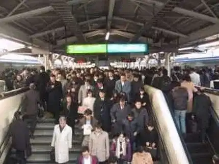 La capacit&agrave; dell'uomo di vivere in societ&agrave; anche accettando alcuni irritanti problemi &egrave; ben rappresentato in questa immagine dalla calca nella metropolitana di Tokyo all'ora di punta