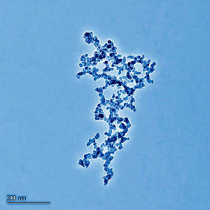 Nanomolecola e relativa scala - Immagine disponibile sotto licenza Creative Commons Attribution-Share Alike 3.0 Unported - Fonte Wikimedia Commons, utente Cilas