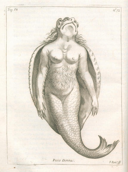 "Pesce donna" tratto da Istorica descrizione de’ tre’ regni Congo, Matamba, et Angola di Antonio Cavazzi, 1687 - Immagine in pubblico dominio, fonte Wikimedia Commons, utente Goodbichon