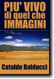 Più vivo di quel che immagini - opera dello scrittore Cataldo Balducci - veduta riprodotta in copertina realizzata da Nicholas T., licenziata come Creative Commons 2.0, attribuzione generica