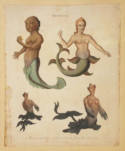 Stampa del 1817 rappresentante esemplari di sirene e tritoni - Immagine in pubblico dominio, fonte Library of Congress, USA.